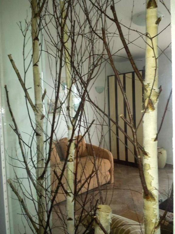 Apartments Mila Krimovica Rom bilde